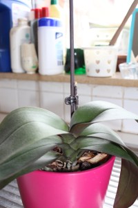 februari2013deel3 128