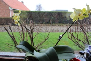 februari2013deel3 129