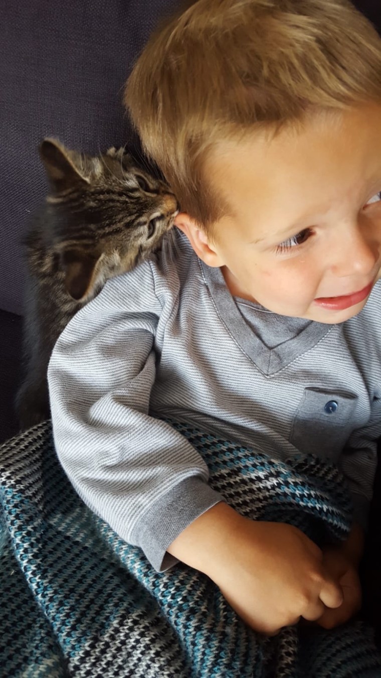 723aa887-3fd1-4113-a19e-7898d0709fc2